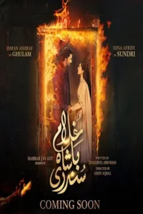 خادم پادشاه زیبا