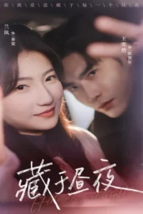 دانلود سریال روز و شب پنهانش کن Hide Day and Night 2025