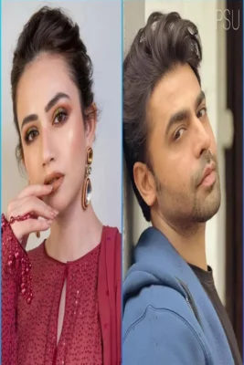 اخبار سریال جدید Tu Jo Mila