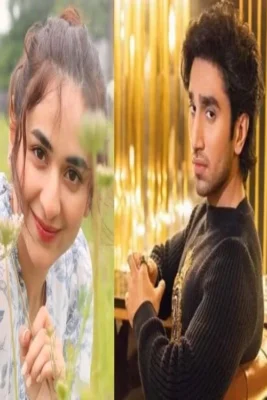 اخبار سریال جدید پاکستانی dekh magar Pyaar sai