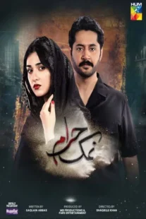 دانلود سریال نمک حرام Namak Haram 2023